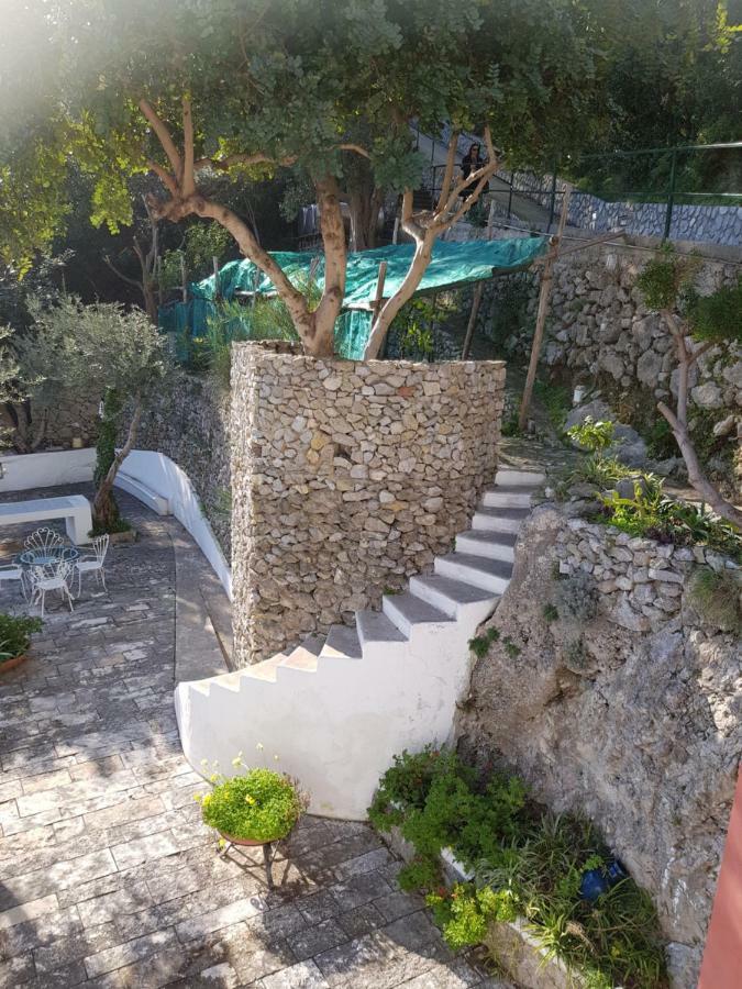 La Limonaia E La Praia Praiano Luaran gambar