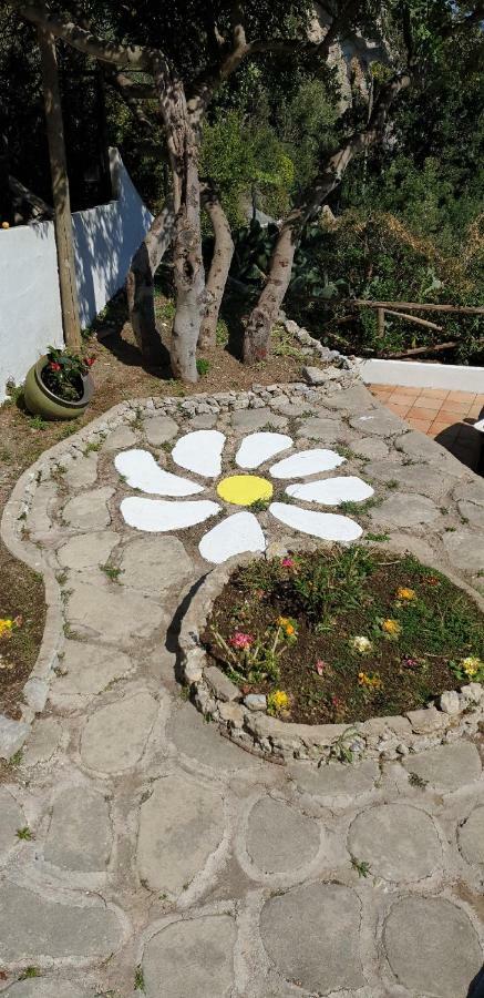 La Limonaia E La Praia Praiano Luaran gambar